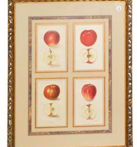 Framed Agriculture Pages - Apples
